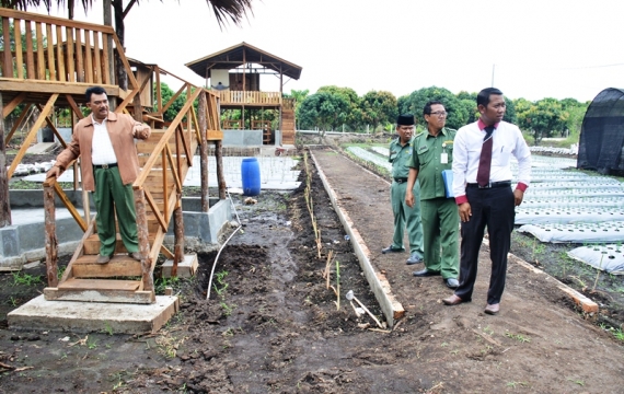 Mau Penghasilan Rp 6 Juta dari Lahan 1.000 Meter Persegi?